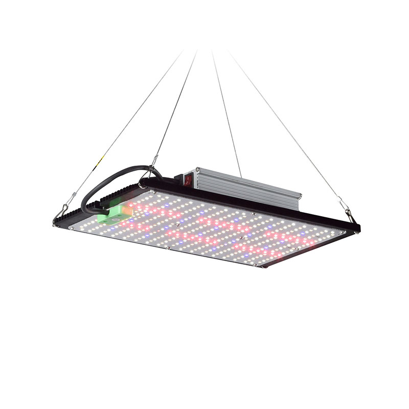 Grow Light Led - LED-Quantum-Board-Pflanzenlampe, Vollspektrum-Hängeleuchte zur ergänzenden Beleuchtung von