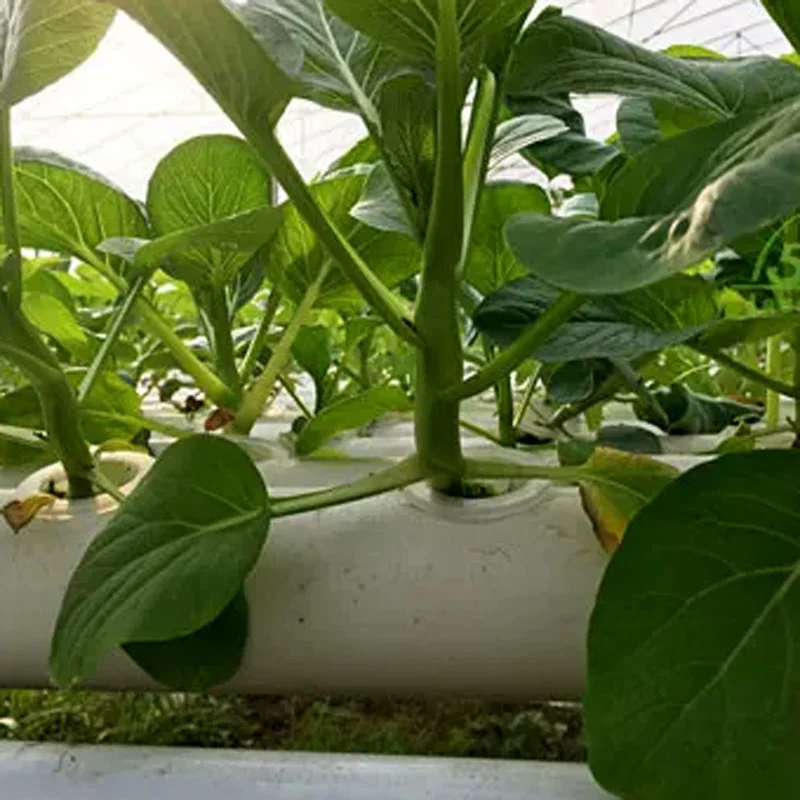 Hydroponic Kit - Bodenloses Anbausystem-Set, PVC-Rohr-Hydroponik-Garten, Gemüse- und Kräuteranbau-Ausrüstung,