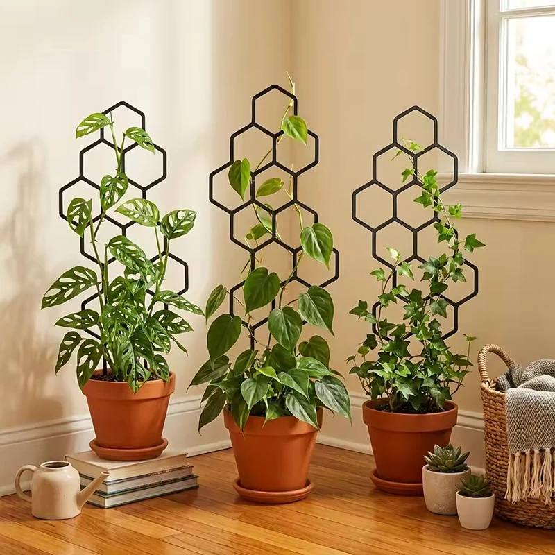 Indoor Herb Garden - 2/4 Stück Wabenförmiges Pflanzengestell aus Kunststoff