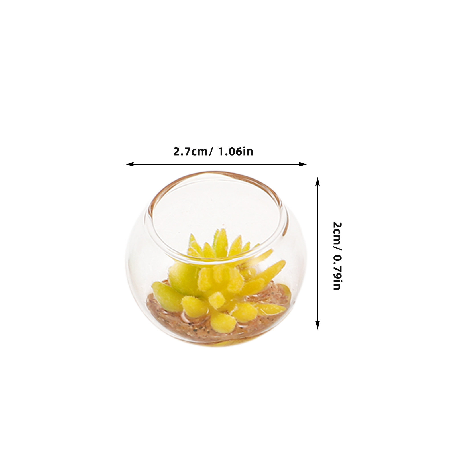 Miniatur-Glas-Pflanzgefäße, 5  – Plant Pot Bewertung und Preis