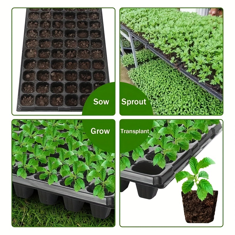 10, Kindergarten-Tablett, Gewä – Seed Starter Tray Bewertung und Preis