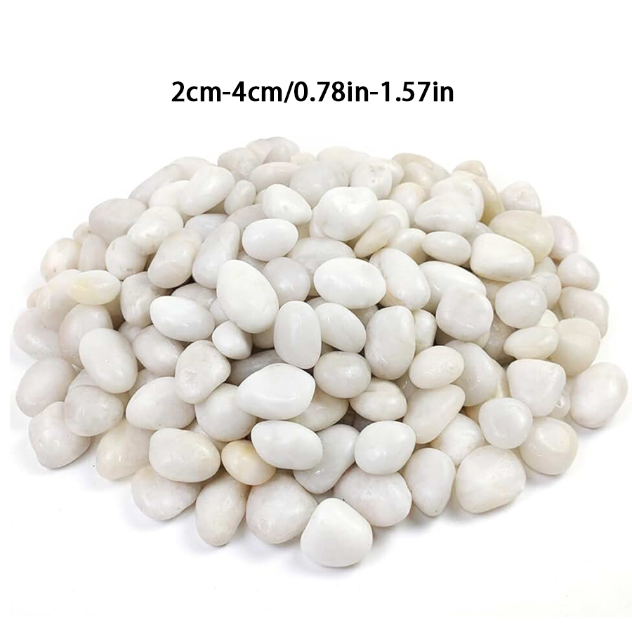 300/600g Polierte Weiße Kiesel – Indoor Herb Garden Bewertung und Preis