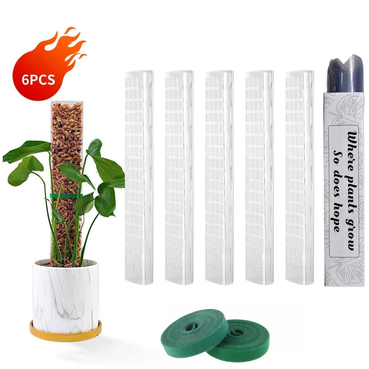 Moosstangen, Pflanzen, Pflanze – Indoor Herb Garden Bewertung und Preis