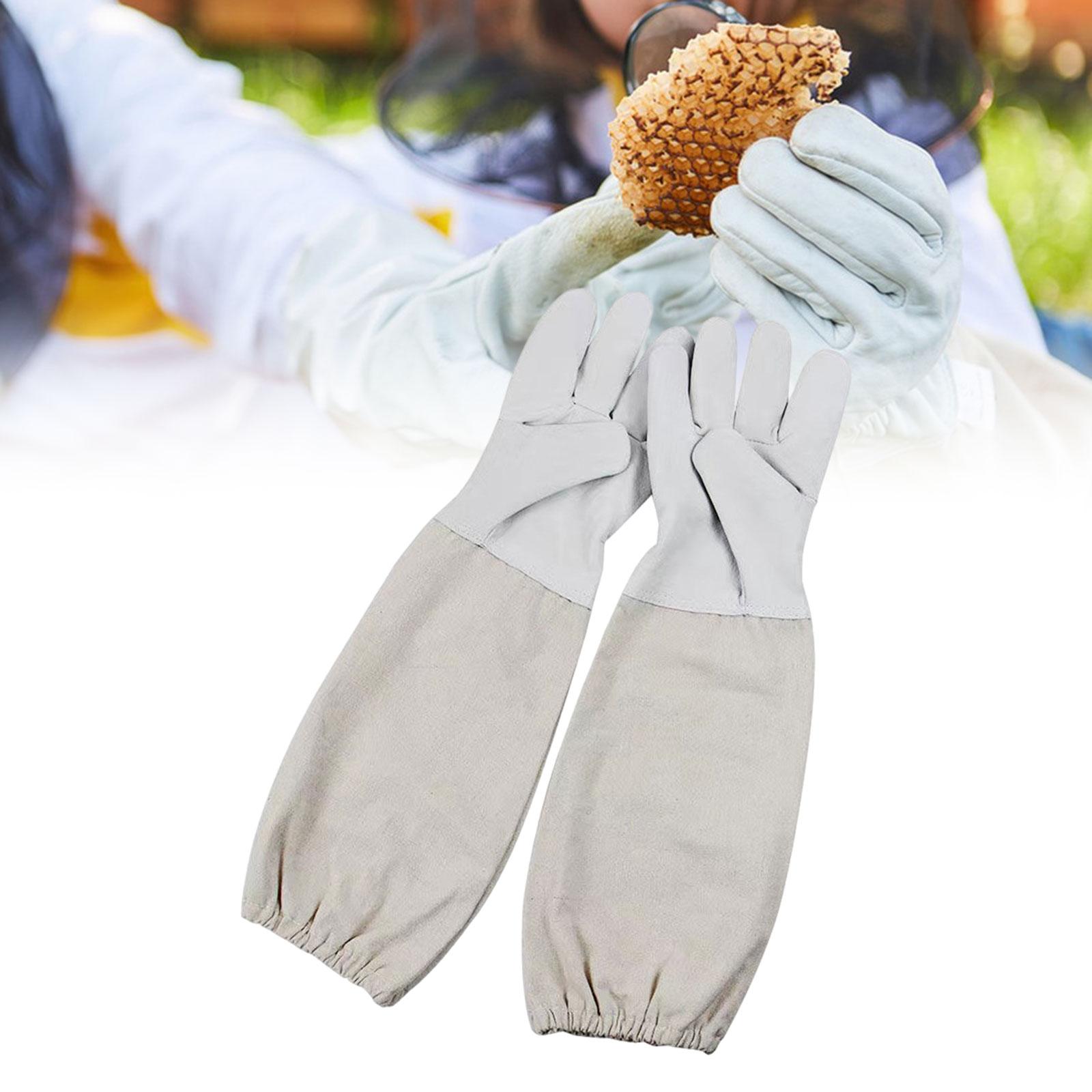 Kratzfeste Imkerhandschuhe aus – Garden Gloves Bewertung und Preis