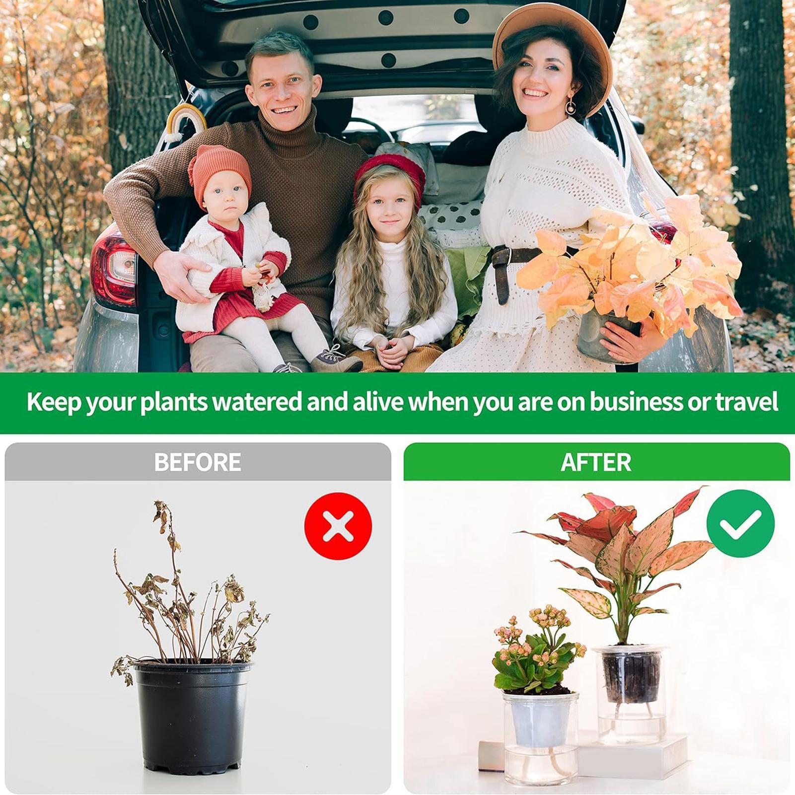 Pflanzenwickler für Selbstbewä – Self Watering Planter Bewertung und Preis