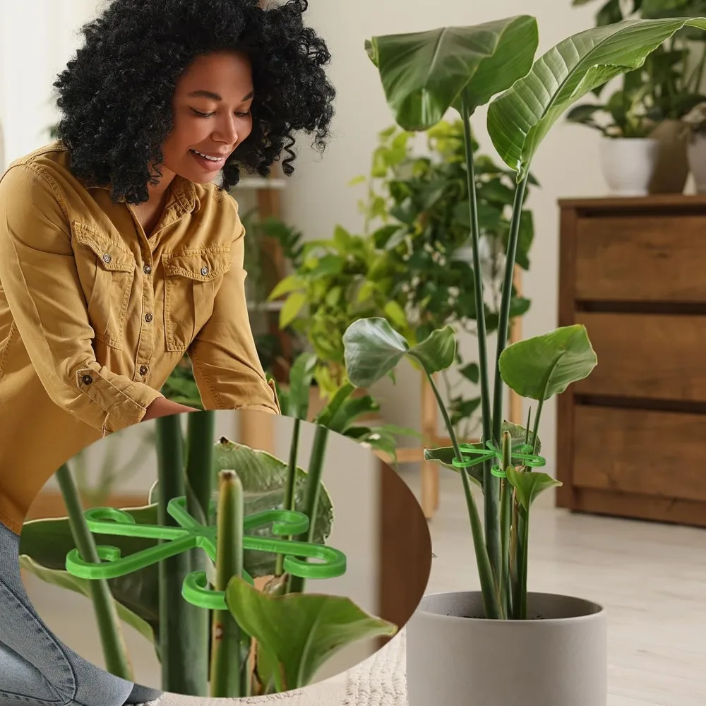 Blume Pflanze Stem Unterstützu – Indoor Herb Garden Bewertung und Preis
