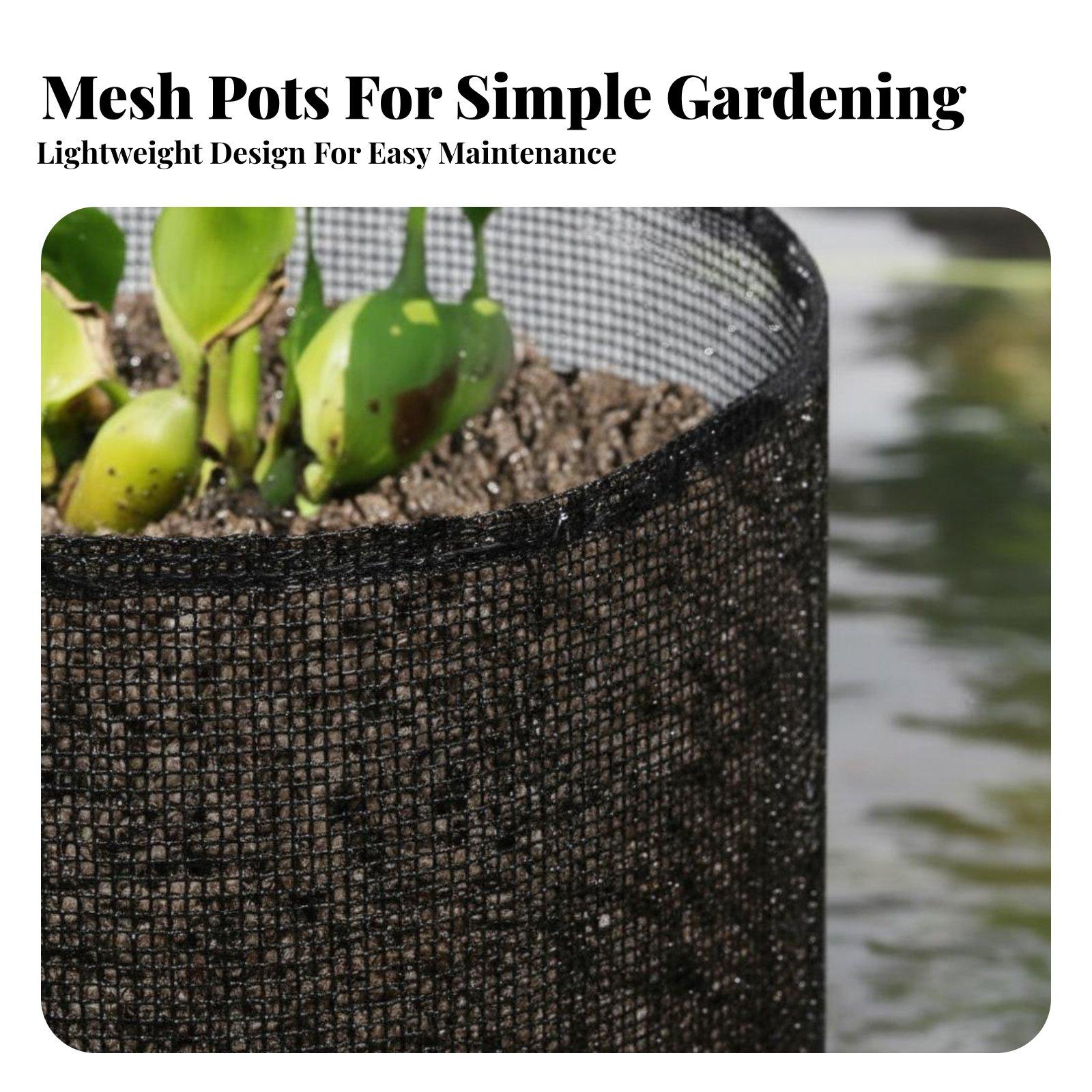 4-teilige Wasserlilien-Pflanzg – Grow Bag Bewertung und Preis