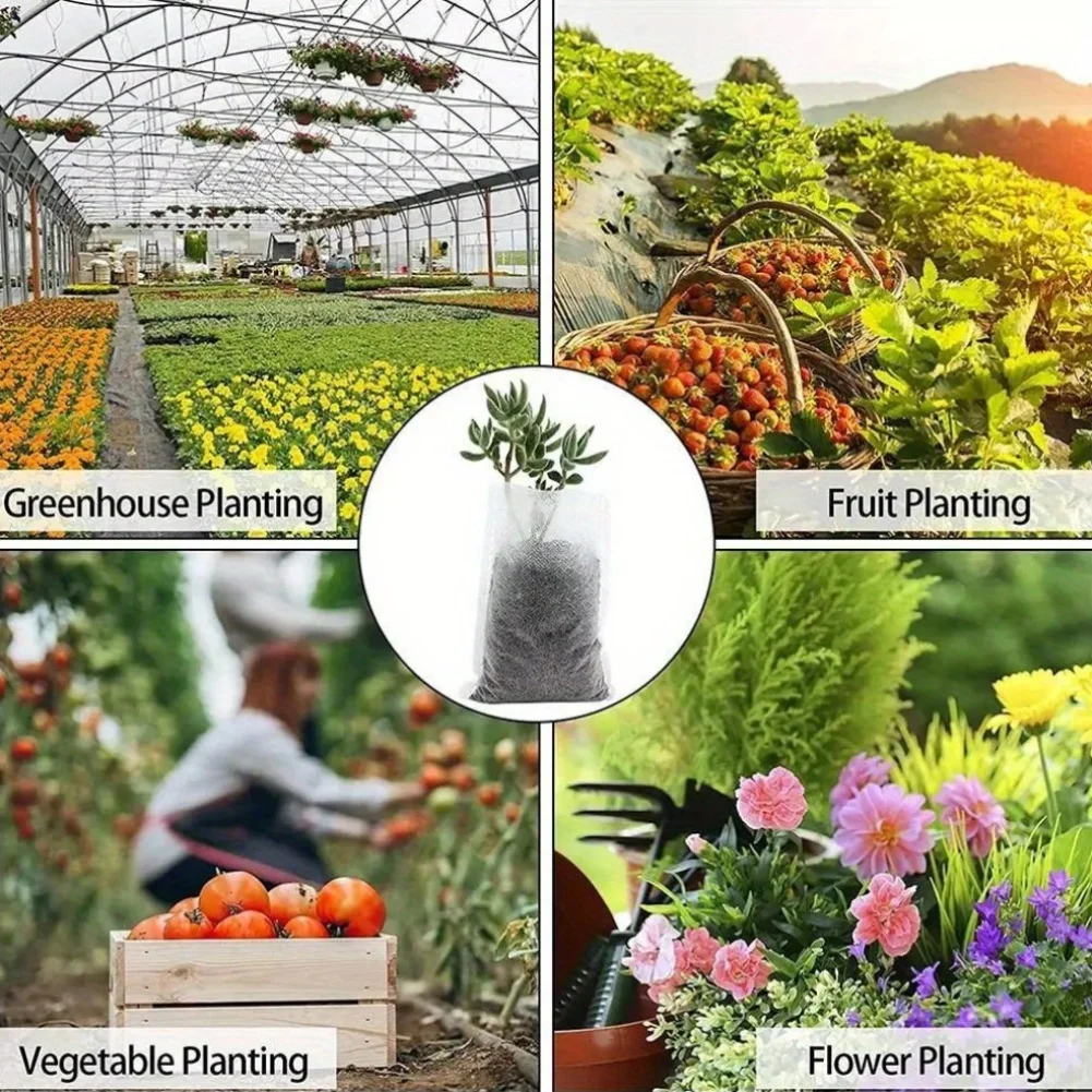 100 Stück biologisch abbaubare – Seed Starter Tray Bewertung und Preis