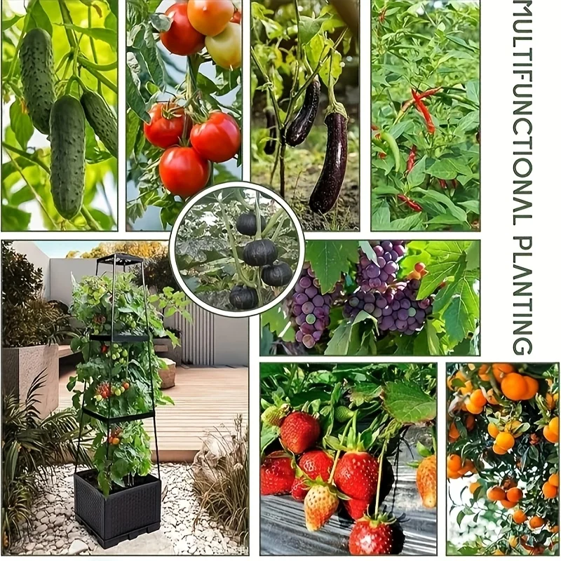 Tomatenständer mit selbstbewäs – Indoor Herb Garden Bewertung und Preis