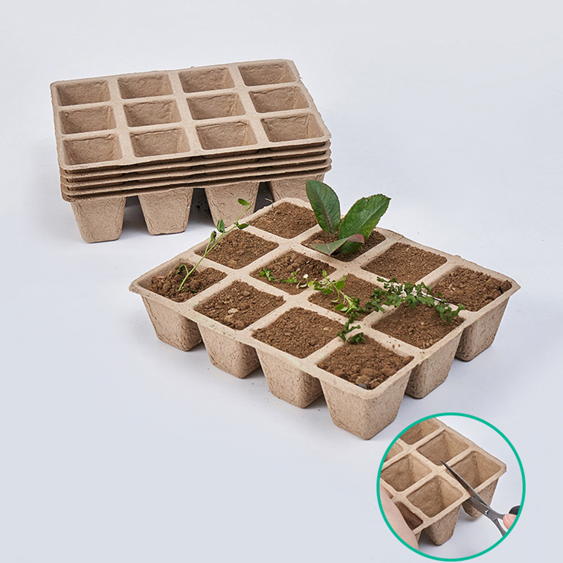 5 Stück 12-Loch-Pflanzenbausch – Seed Starter Tray Bewertung und Preis