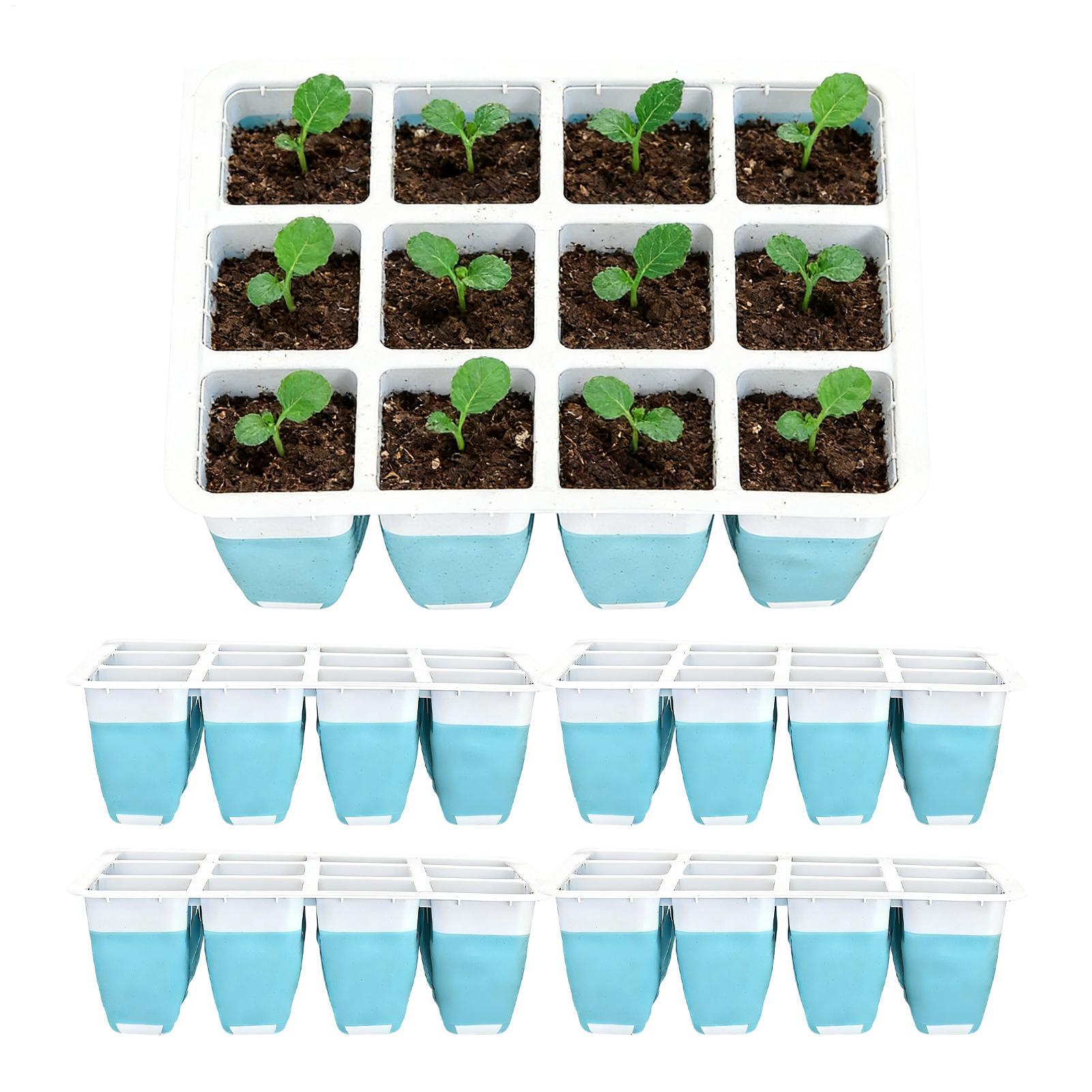 5er-Pack Silikon-Anzuchtschale – Seed Starter Tray Bewertung und Preis
