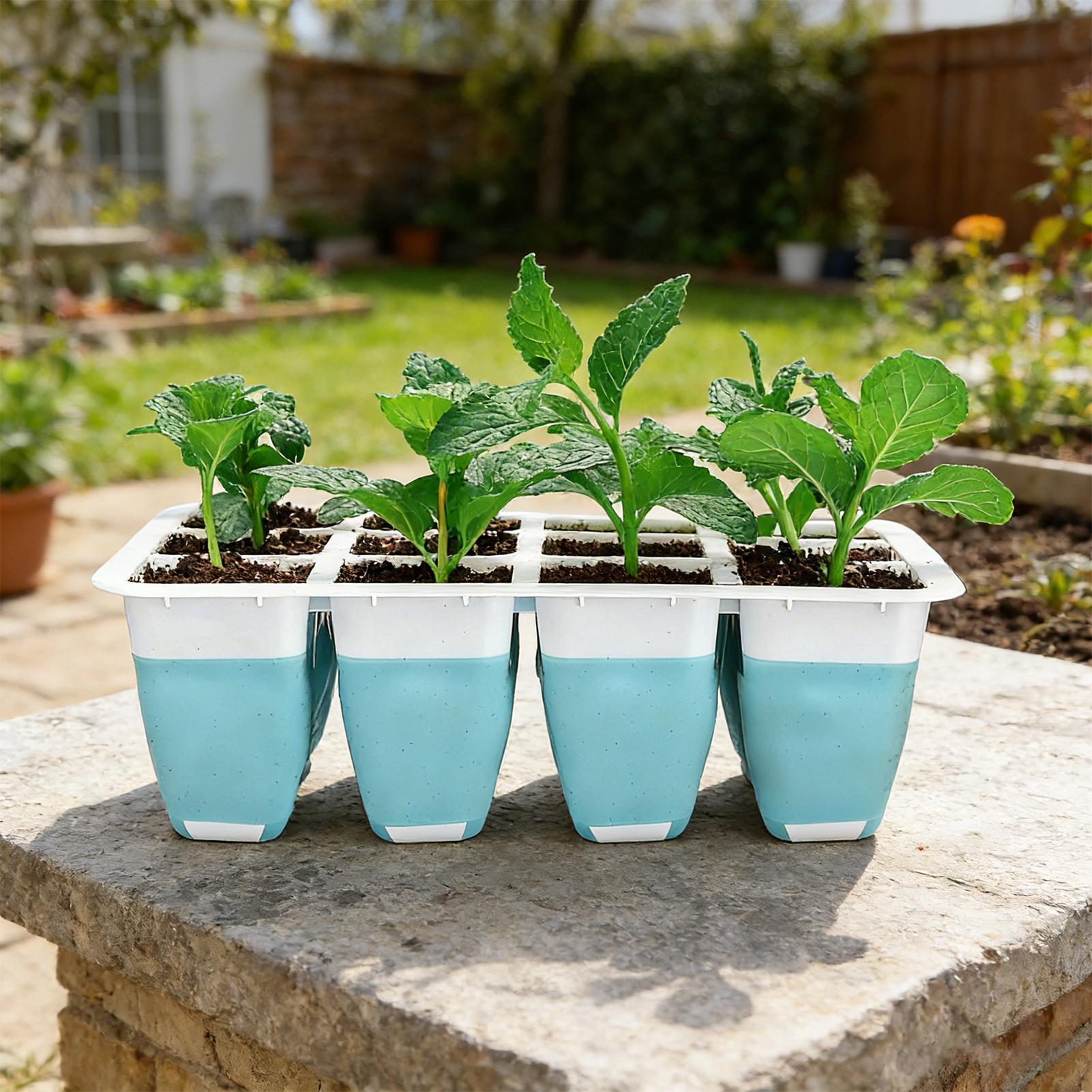 5er-Pack Silikon-Anzuchtschale – Seed Starter Tray Bewertung und Preis