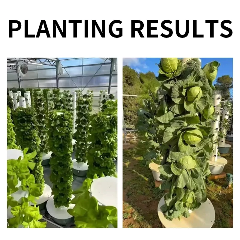 9/11-stufiges Hydroponisches A – Hydroponic Kit Bewertung und Preis