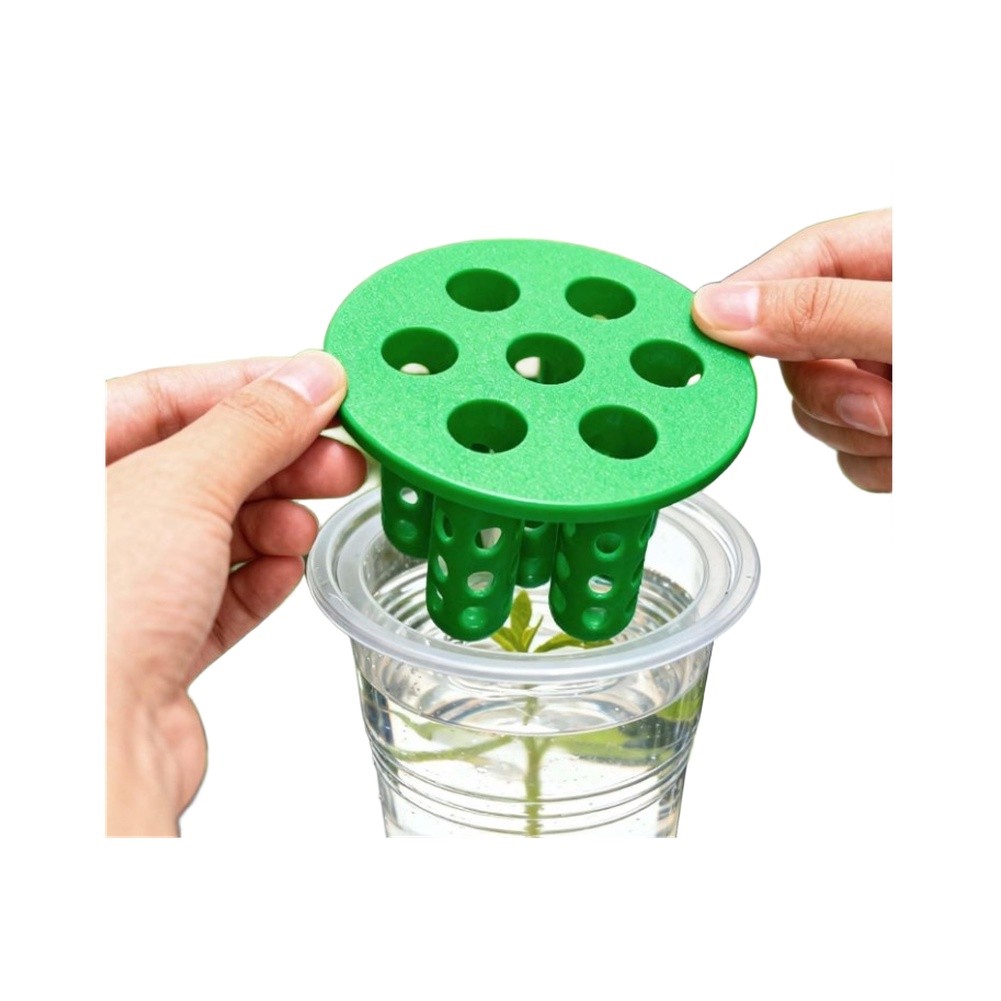 4 Stück Grüne-Zwiebel-Nachzuch – Hydroponic Kit Bewertung und Preis