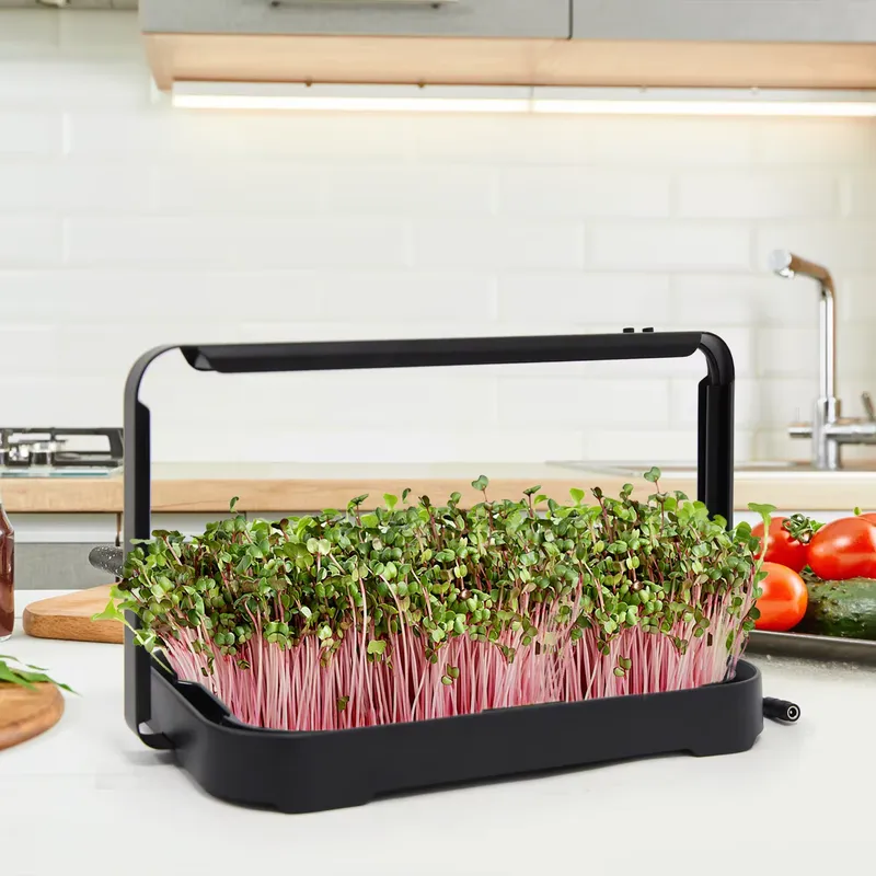 Hydroponisches Anzuchtsystem f – Hydroponic Kit Bewertung und Preis