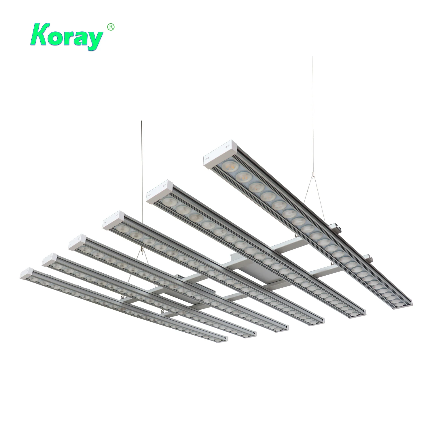 Koray 900W Indoor Vollspektrum – Grow Light Led Bewertung und Preis
