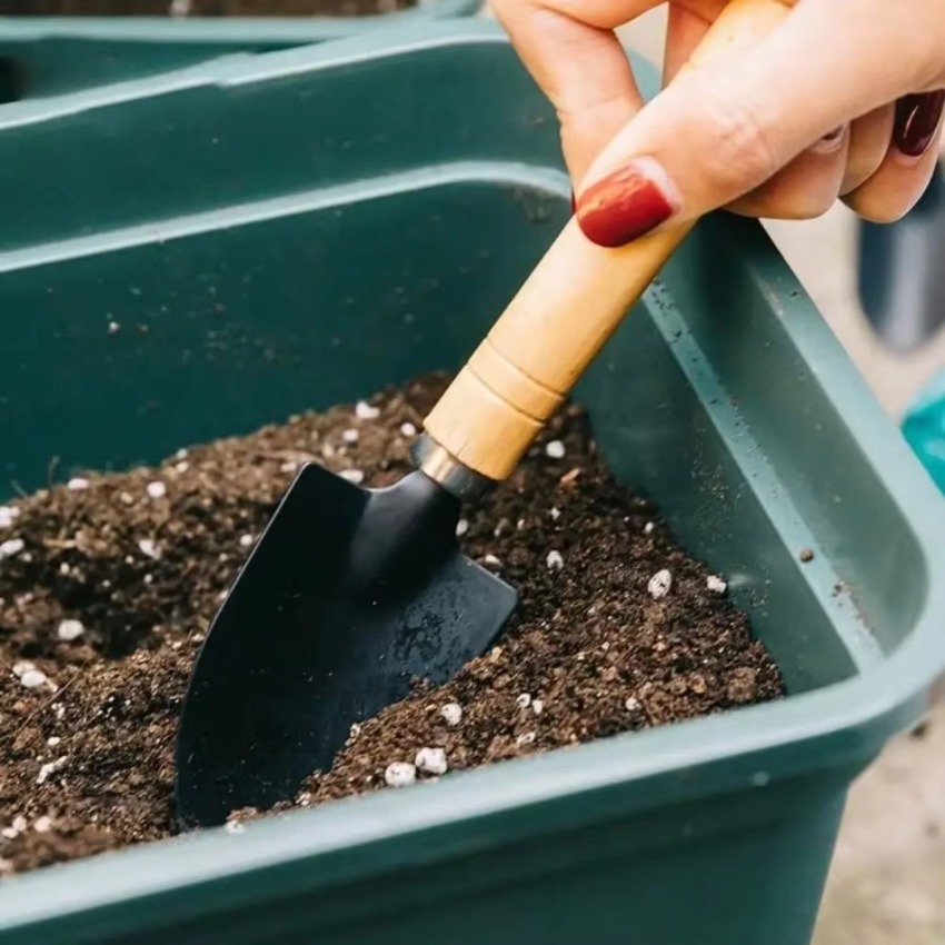 3-teiliges Mini-Gartenwerkzeug – Trowel Garden Tools Bewertung und Preis