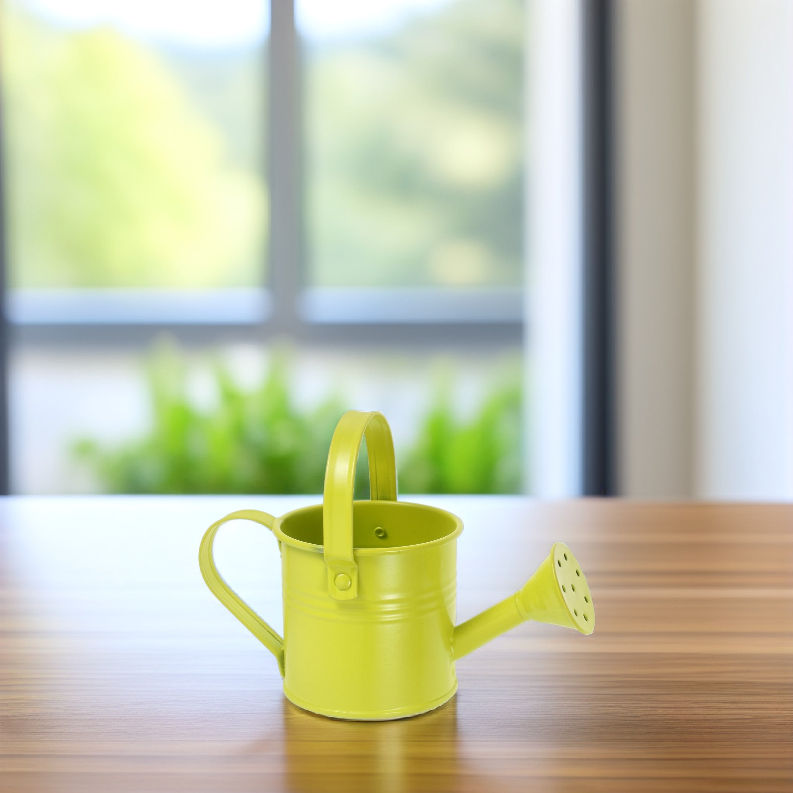 Kleine, verzinkte Gießkanne au – Watering Can Bewertung und Preis